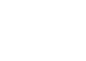 Championship logo for 