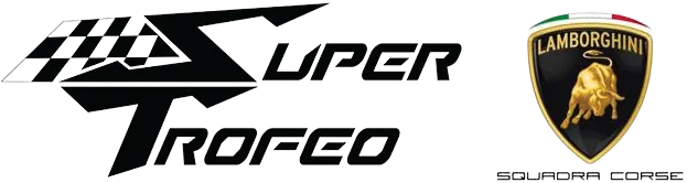Championship logo for 