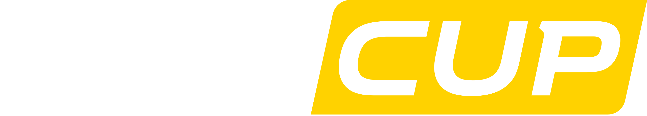 The logo for Renault Clio Cup Bohemia