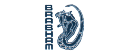 Team logo for Brabham